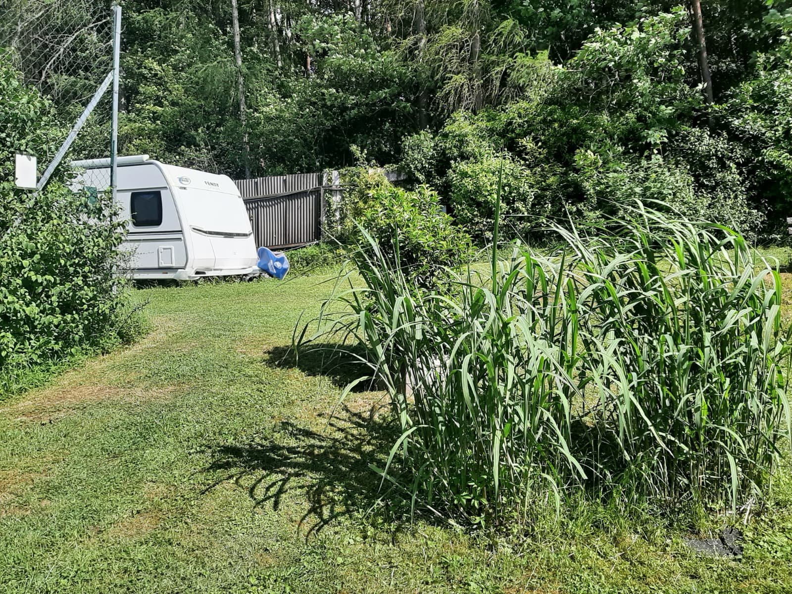 Camping