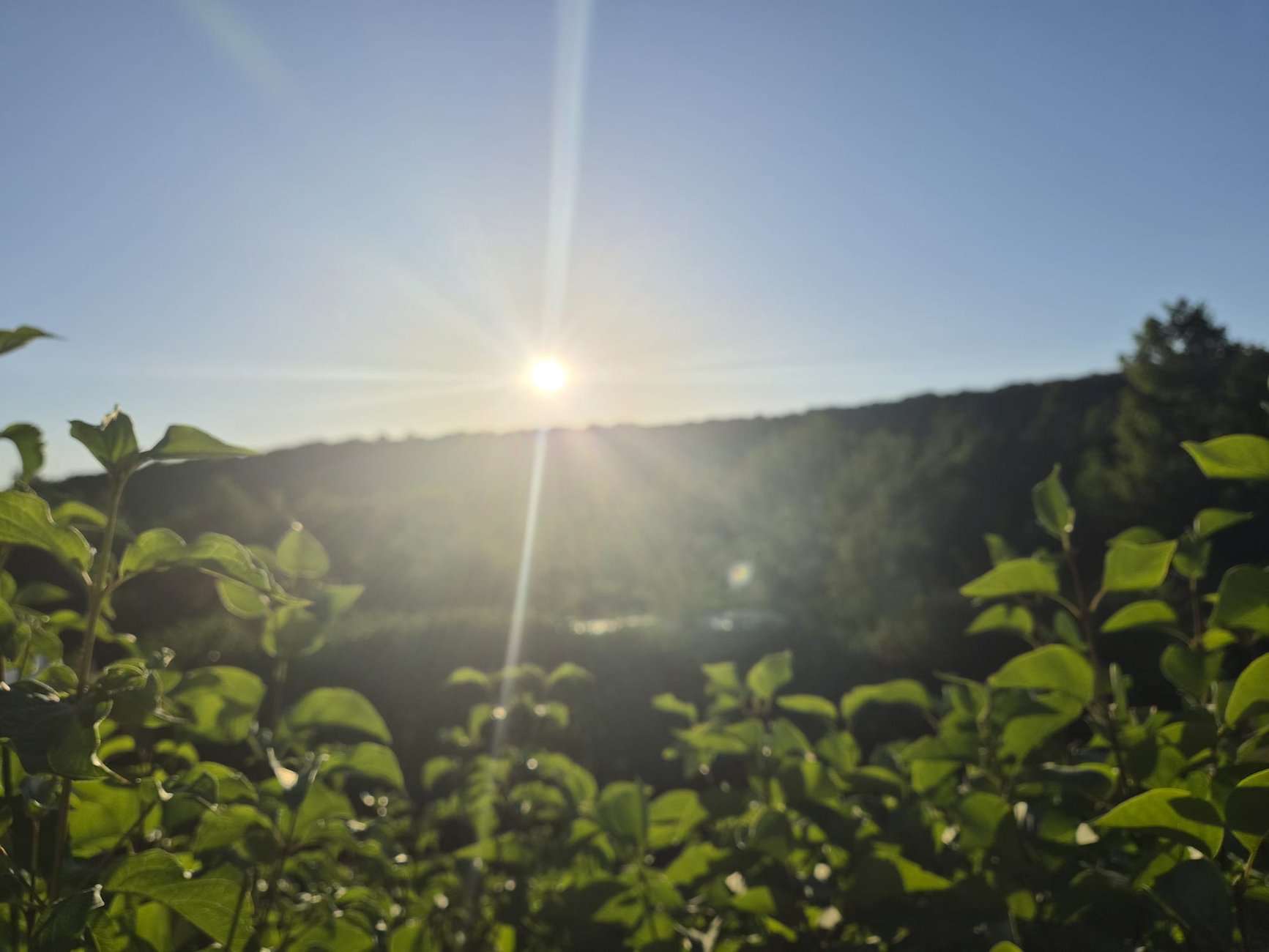 Natur